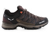 Schuhe Salewa Mtn Trainer Lite GTX 61362-7517