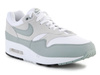 Nike Air Max 1 SC M DZ4549-100