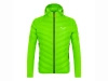 Salewa AGNER HYBRID RDS DWN M JKT 028018-5641 pale frog