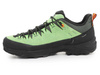 Salewa Alp Trainer 2 Gore-Tex® Men's Shoe 61400-5660