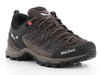 Schuhe Salewa Mtn Trainer Lite GTX 61362-7517