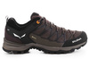 Salewa Mtn Trainer Lite GTX 61361-7512