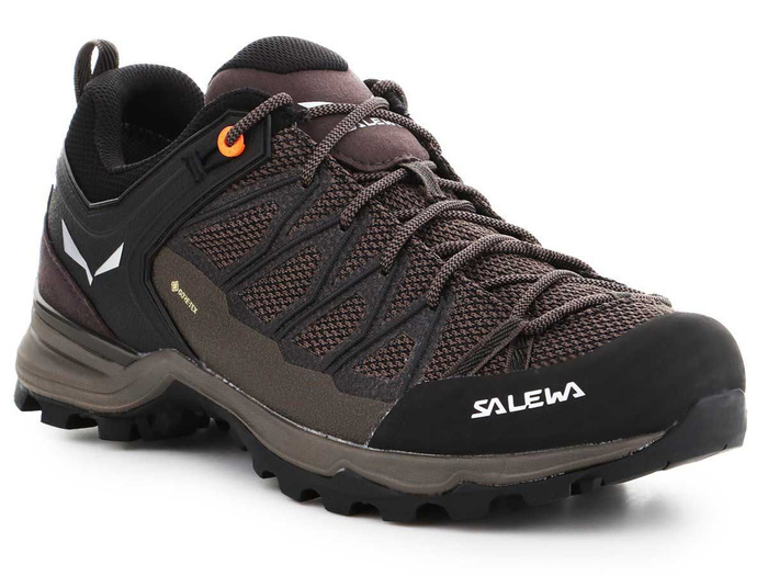 Schuhe Salewa Mtn Trainer Lite GTX 61361-7512