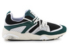 Blaze Of Glory PRM Puma Black / Varsity Green 387575-02