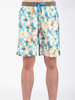 Badehose Quiksilver AQYJV00018-NGG6