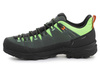 Salewa Alp Trainer 2 Men's Shoe 61402-5331