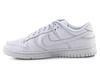 Nike Dunk Low Wmns DD1503-109